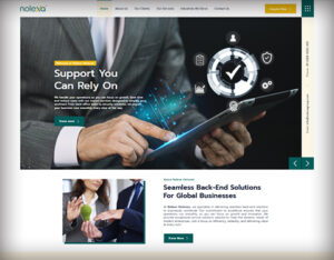 Nolexa Venture Back-End Solutions For Business